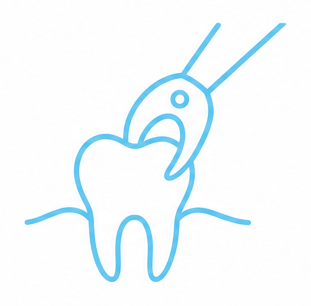 Tooth Extraction Tooth Extraction